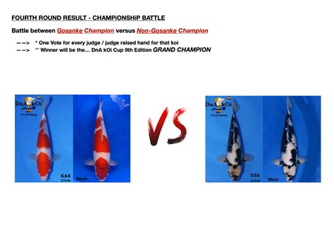 dna koi|About Us – Dna Koi Farm.